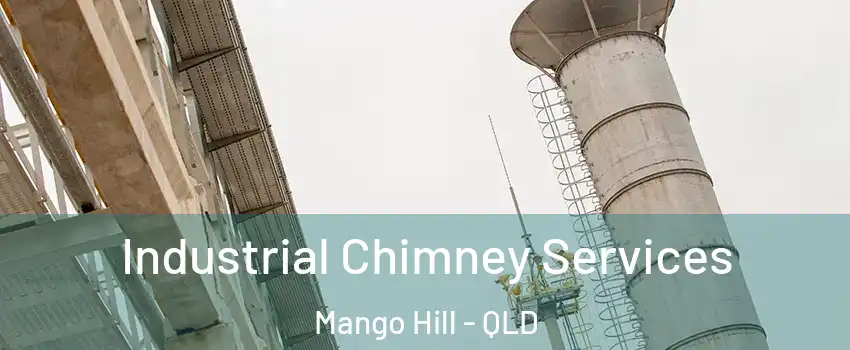 Industrial Chimney Services Mango Hill - QLD
