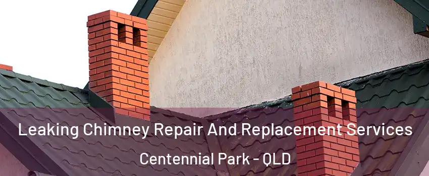 Leaking Chimney Repair And Replacement Services Centennial Park - QLD