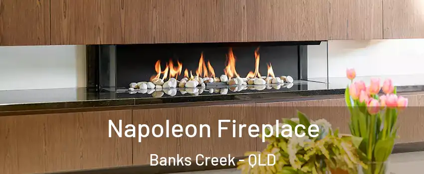 Napoleon Fireplace Banks Creek - QLD
