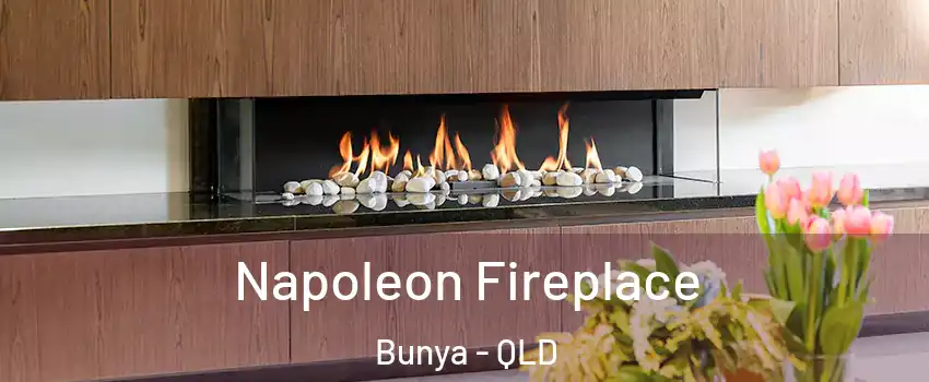 Napoleon Fireplace Bunya - QLD