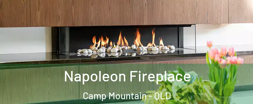 Napoleon Fireplace Camp Mountain - QLD