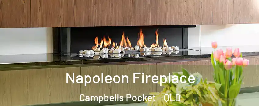 Napoleon Fireplace Campbells Pocket - QLD