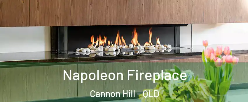 Napoleon Fireplace Cannon Hill - QLD