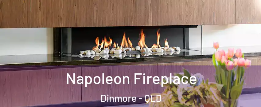 Napoleon Fireplace Dinmore - QLD