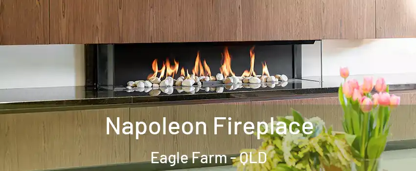Napoleon Fireplace Eagle Farm - QLD