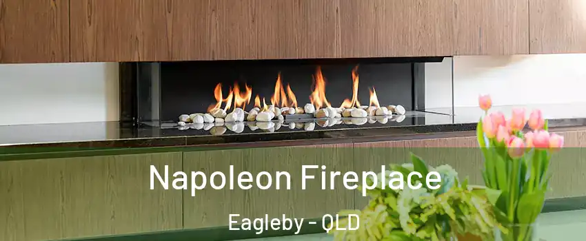 Napoleon Fireplace Eagleby - QLD