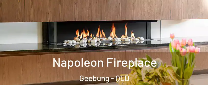 Napoleon Fireplace Geebung - QLD
