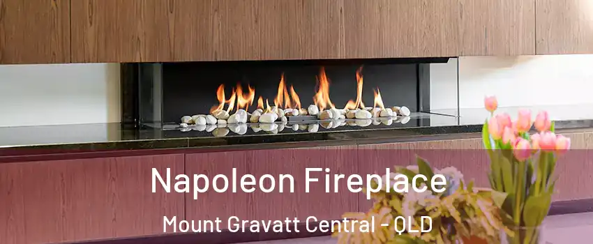 Napoleon Fireplace Mount Gravatt Central - QLD