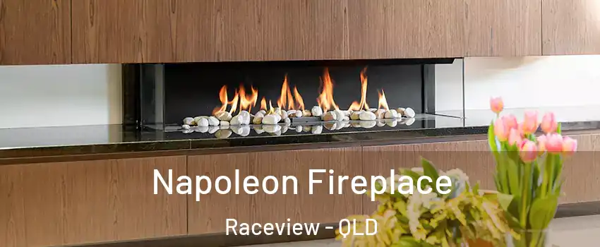 Napoleon Fireplace Raceview - QLD