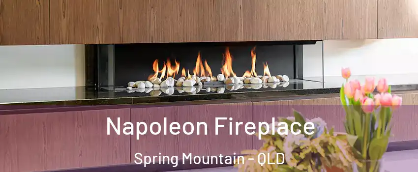 Napoleon Fireplace Spring Mountain - QLD