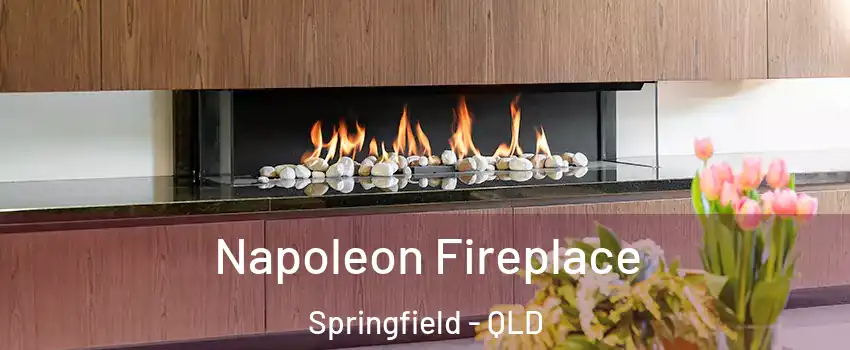 Napoleon Fireplace Springfield - QLD