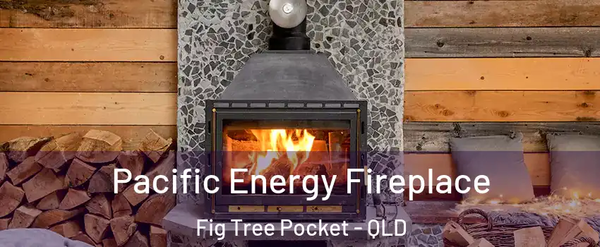 Pacific Energy Fireplace Fig Tree Pocket - QLD