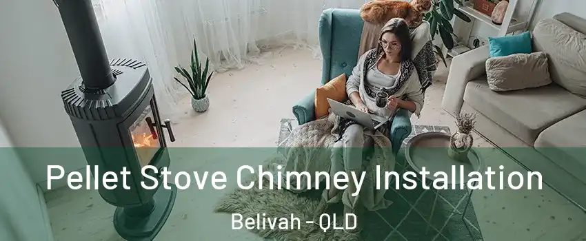 Pellet Stove Chimney Installation Belivah - QLD
