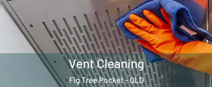 Vent Cleaning Fig Tree Pocket - QLD