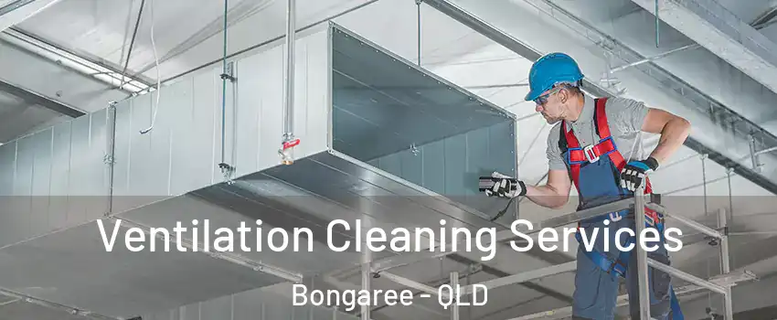 Ventilation Cleaning Services Bongaree - QLD