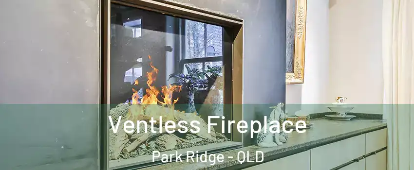Ventless Fireplace Park Ridge - QLD